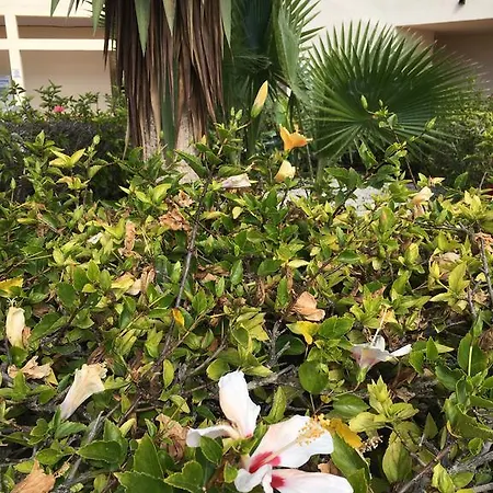 Orange Los Cristianos Hill Lux Residential Apartment